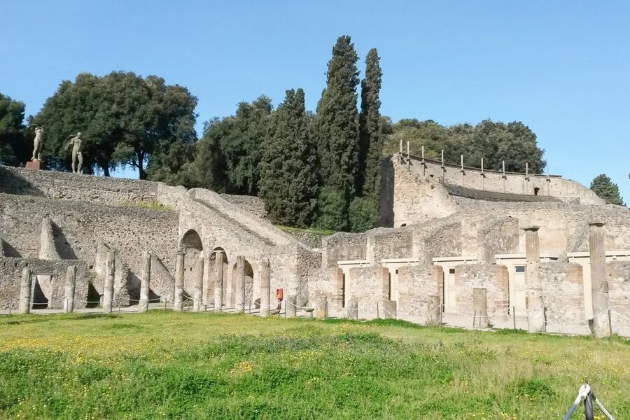 From Sorrento: Pompeii and Vesuvius Tour - Hiking Mount Vesuvius: lava paths, crater views, and Bay of Naples panoramas