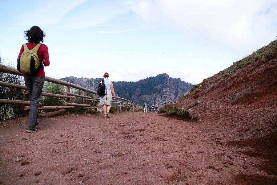 From Sorrento: Pompeii and Vesuvius Tour - Value for the money: is $135.94 a fair deal?