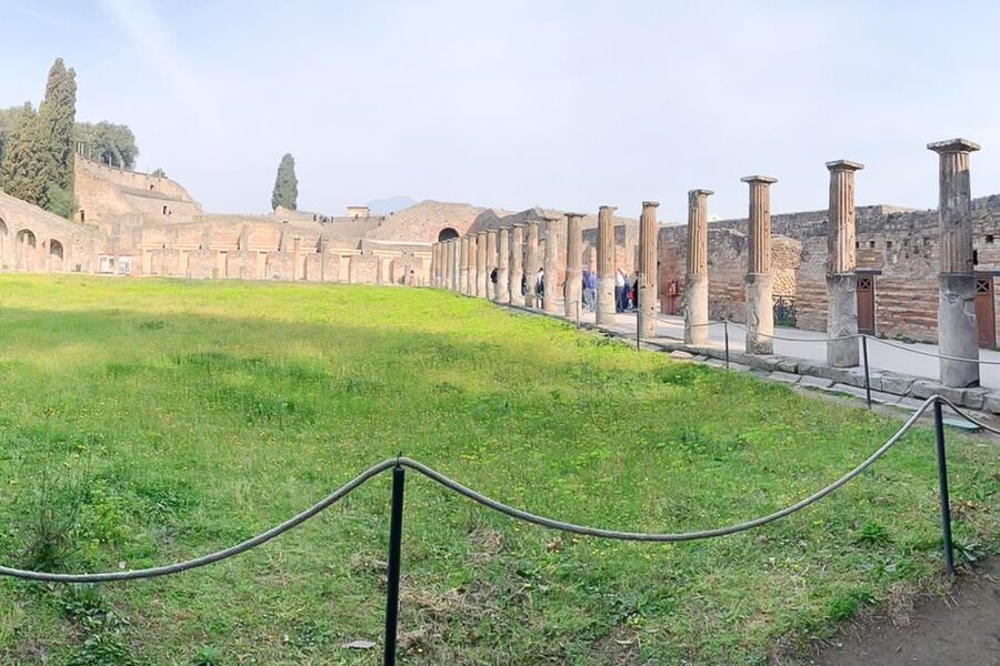 From Sorrento: Pompeii and Vesuvius Tour - Who this tour is best for, and who should choose something else