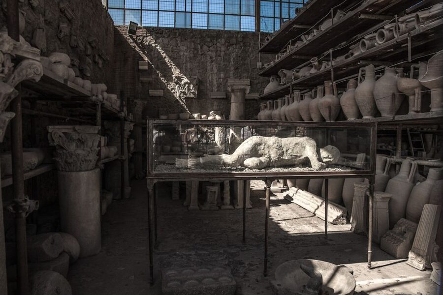 From Sorrento: Pompeii Half-Day Skip-the-Line Tour - The guided walk: baths, bakeries, forums, villas, and the big set pieces