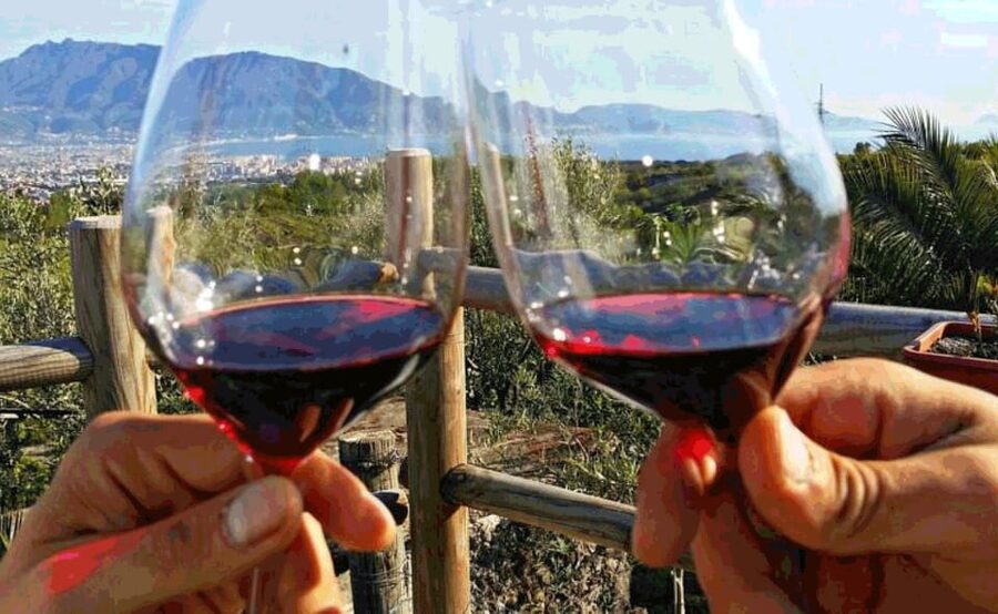 From Sorrento: Pompeii & Mt. Vesuvius Tour with Lunch & Wine - Getting to Mt. Vesuvius Early Afternoon, 1,000 Meters Up
