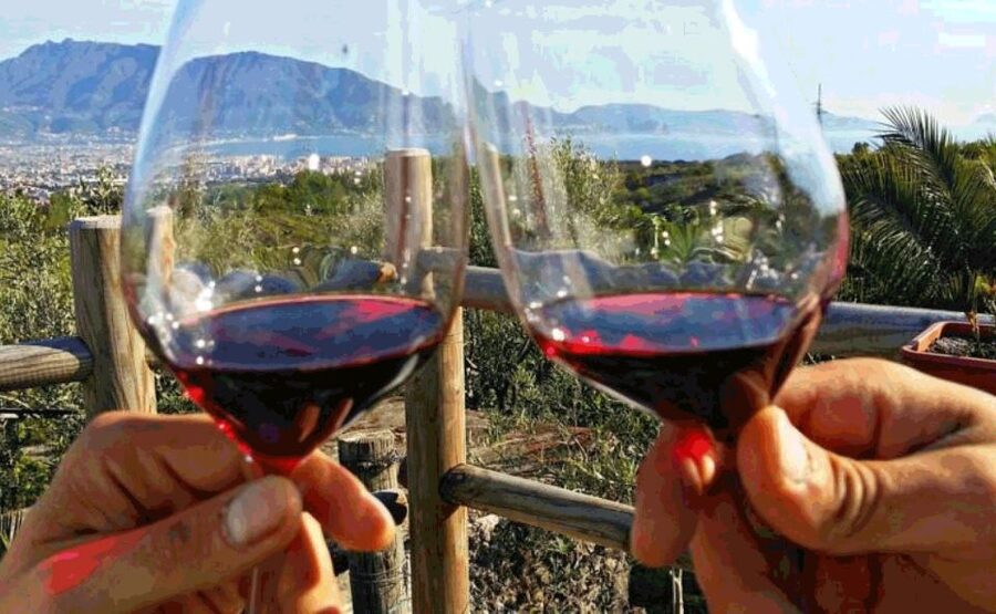 From Sorrento: Pompeii & Mt. Vesuvius Tour with Lunch & Wine - Crater Rim Views Over the Gulf of Naples