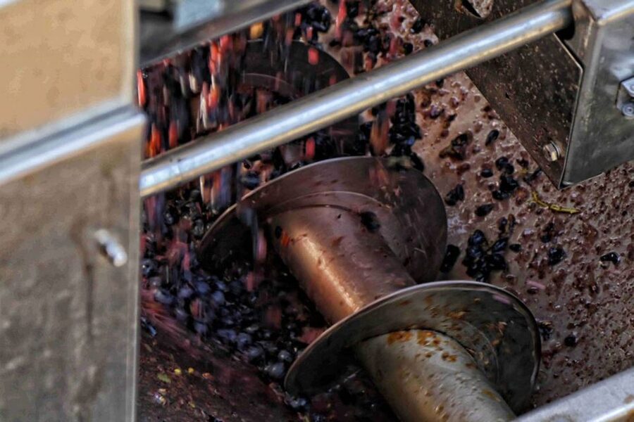 From Sorrento: Winery Tour, Tasting & Lunch - The Sorrento start: meeting point and the first 40 minutes