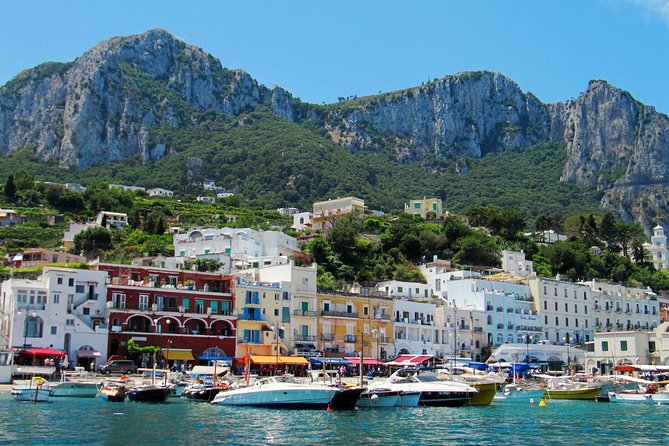 Full-Day Private Capri and Pompeii from Sorrento - Price and logistics: what you are really paying for