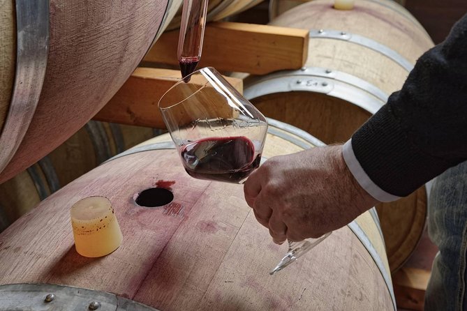 Full Day Small Group Pompeii Tour from Sorrento with Local Wine Tasting - How skip-the-line changes your day (not just your tickets)