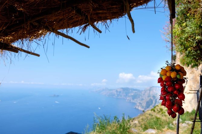 Guided Day Hike on the Path of the Gods with Sorrento Transfer - The Path of the Gods: the 3.5-hour reason to come
