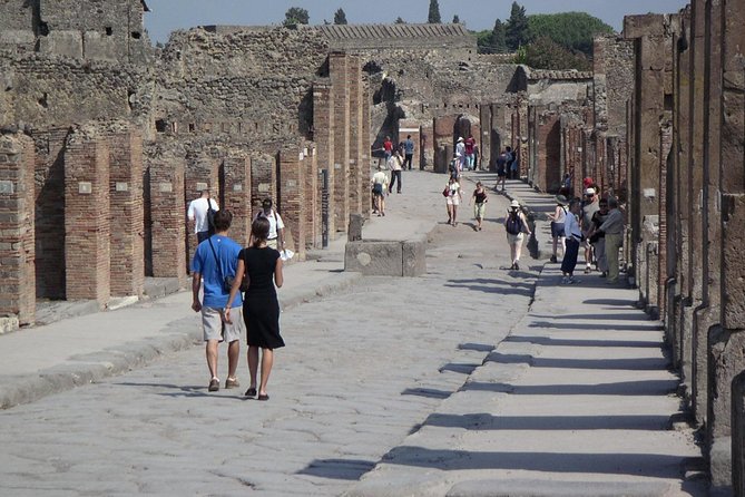 Guided Day Tour of Pompeii and Herculaneum with Light Lunch - Walking Expectations: Plan for Steps, Heat, and “Full-Day” Energy