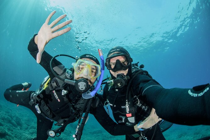 Guided diving for beginners without certification from Sorrento - Key highlights you should know