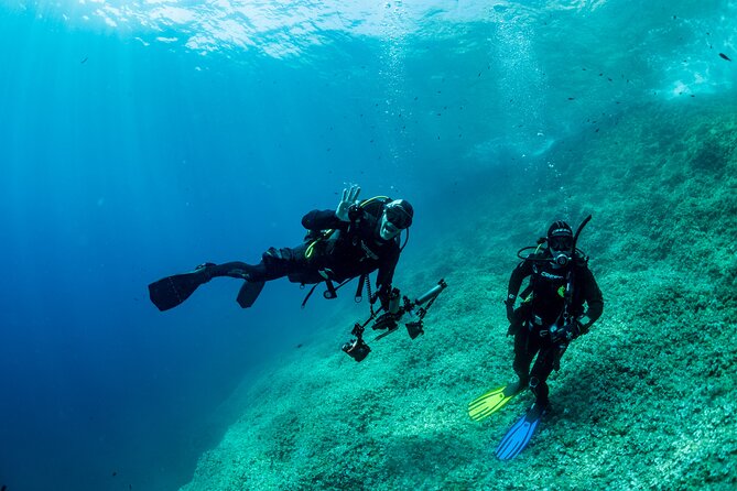 Guided diving for beginners without certification from Sorrento - Staff style that keeps beginners calm (and why it matters)