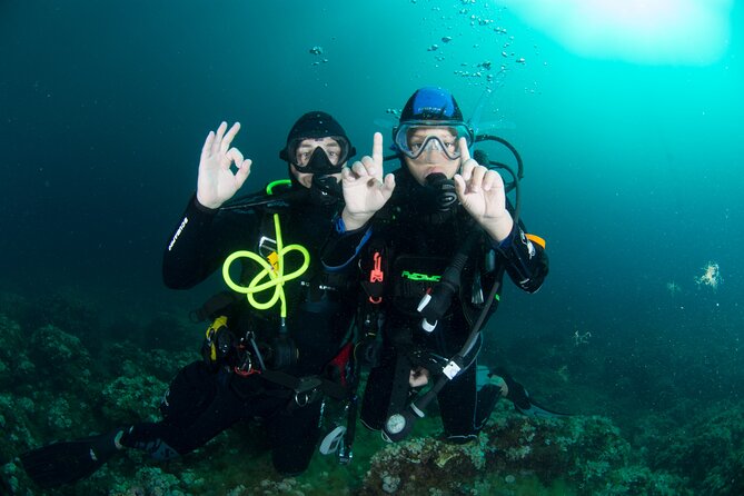Guided diving for beginners without certification from Sorrento - Theory, gear checks, and your first underwater training at 6 meters