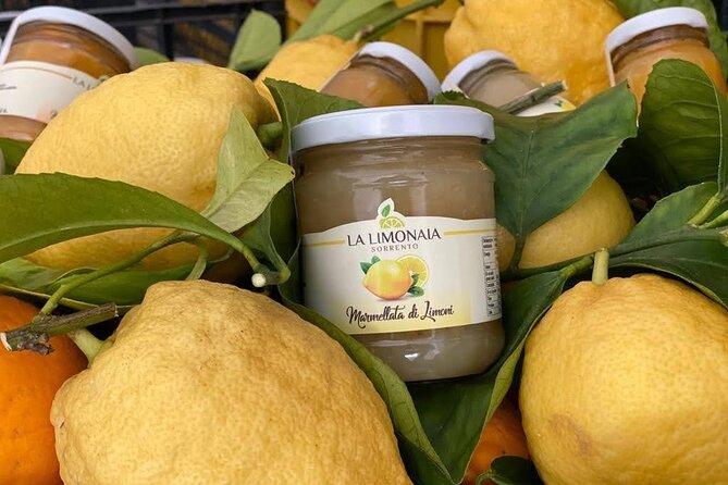 Guided tour of a historic lemon grove in Sorrento - Timing, pacing, and how long 45 minutes really feels