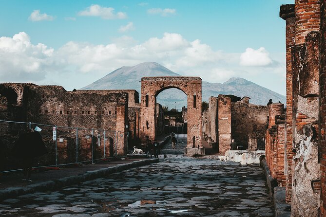 Guided Tour of Pompei, Lunch and Wine from Sorrento - Getting there matters: brand new minivan and small-group pacing