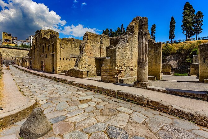 Guided Tour of Pompeii and Herculaneum with Lunch and Ticket - Winery lunch on the Vesuvius slopes: what you get and what it costs you
