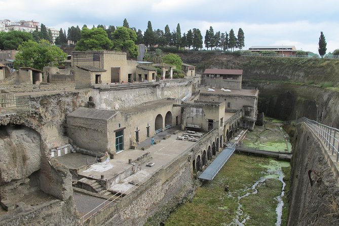 Half Day Morning Tour of Herculaneum from Sorrento - Inside the park: what the guide focuses on during the walk