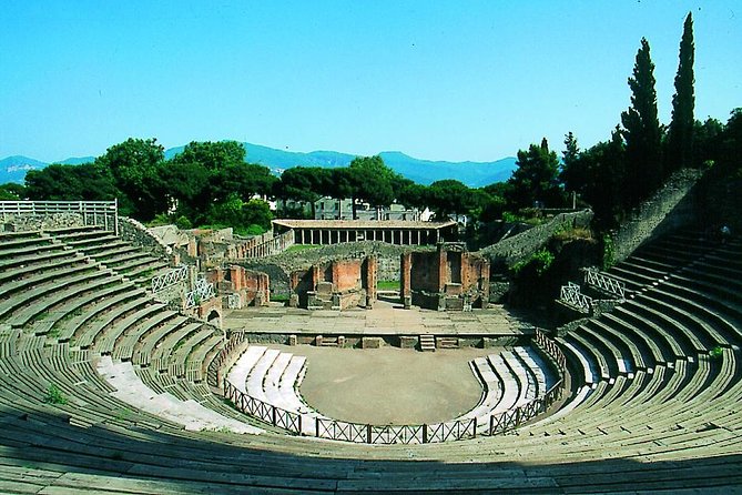 Half Day Morning Tour of Pompeii from Sorrento - Guided highlights, group size, and how to make it through the crowds