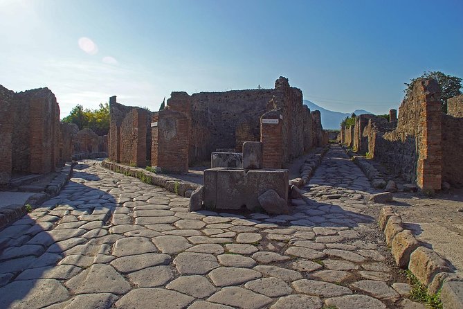 Half Day Morning Tour of Pompeii from Sorrento - Price and value: what you pay for at $80.68 per person