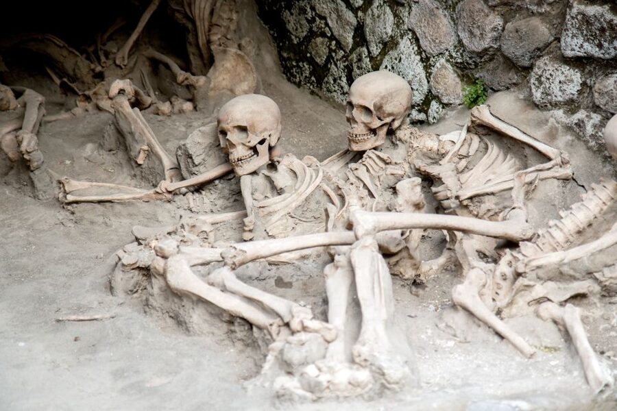 Herculaneum: 2-Hour Skip-the-Line Tour from Sorrento - What You See at the Site: Museum and Street-Level Moments