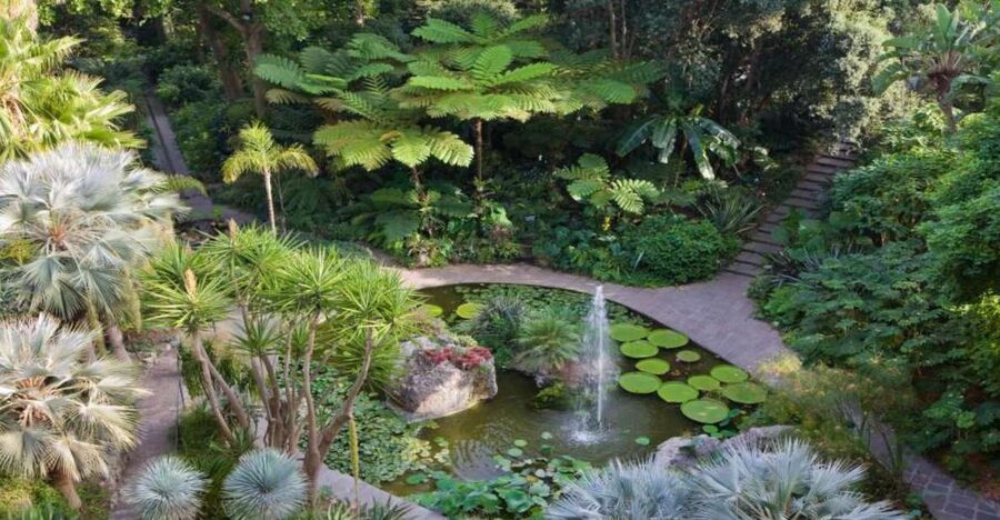 Ischia and Mortella Gardens Full-Day Tour from Sorrento - Key highlights to know before you go