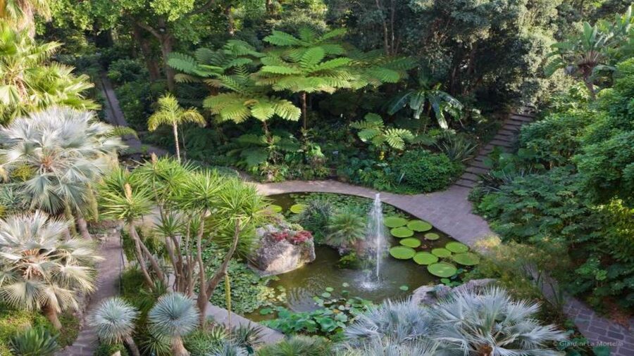 Ischia and Mortella Gardens Full-Day Tour from Sorrento - Forio and La Mortella Gardens: 3 hours inside Walton and Russell Page’s world