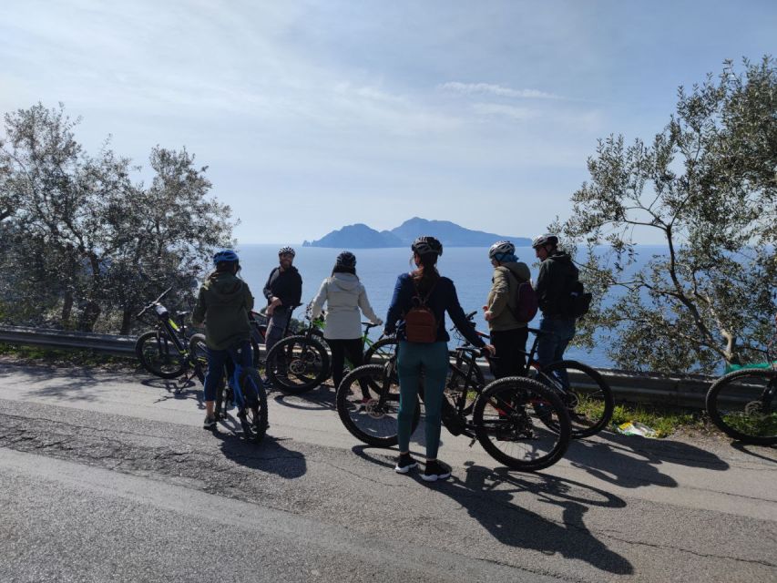 Lemon Nursery & Limoncello: Sorrento E-Bike Tour - Why Sorrento Lemons Are a Big Deal (and How This Tour Explains Them)