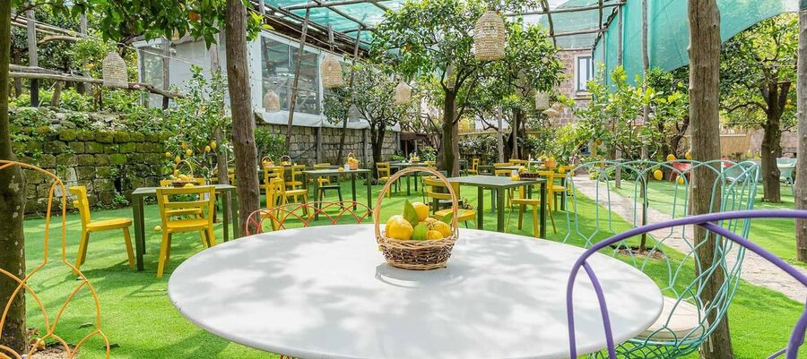 Lemon Tour with Lunch/Dinner - Key things to know about the Lemon Tour with Lunch/Dinner