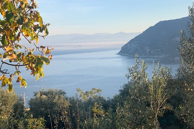 Luxury Tour Amalfi Coast by Van Mercedes - How the tour pacing works across the 6 to 9 hours