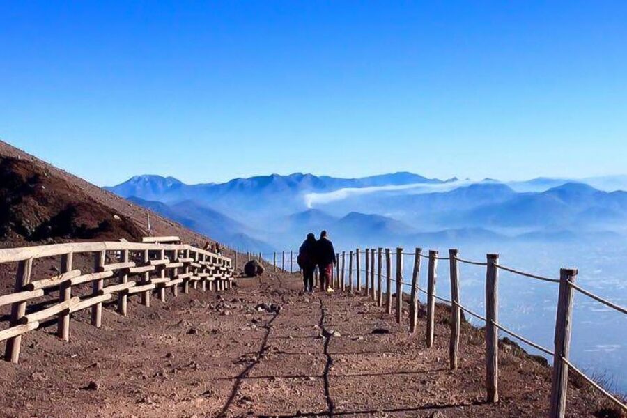 Mount Vesuvius E-bike Tour - The uphill ride: how the vegetation changes as you climb