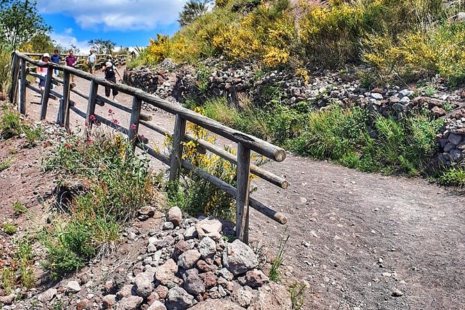 Mount Vesuvius Tour with Entry Ticket & Lunch - What the Winery Part Feels Like: Lunch, Tastings, and the Local Wine Angle