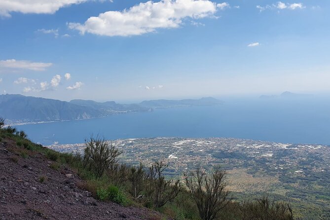 Mount Vesuvius Tour with Entry Ticket & Lunch - That Extra Lemon and Limoncello Stop You Might See