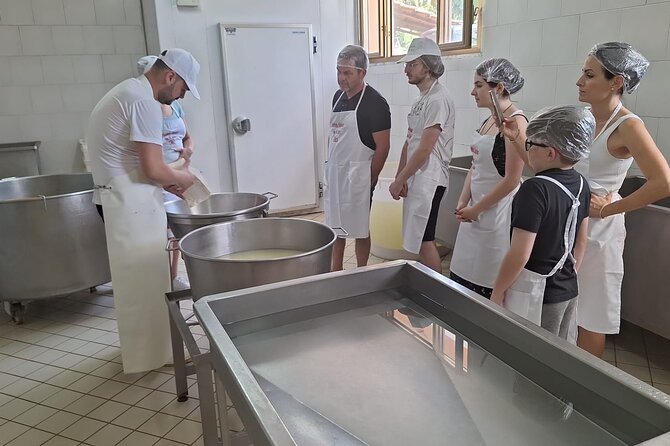 Mozzarella Experience with Tasting in Vico Equense - Price and value: why $102.25 can make sense