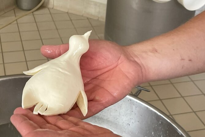Mozzarella Experience with Tasting in Vico Equense - Inside the laboratory: the fior di latte curd process explained