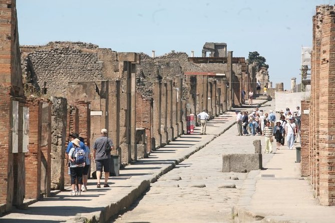 Mt. Vesuvius and Pompeii Full-Day Tour from Sorrento - Included Entry Tickets and Skip-the-Line Value