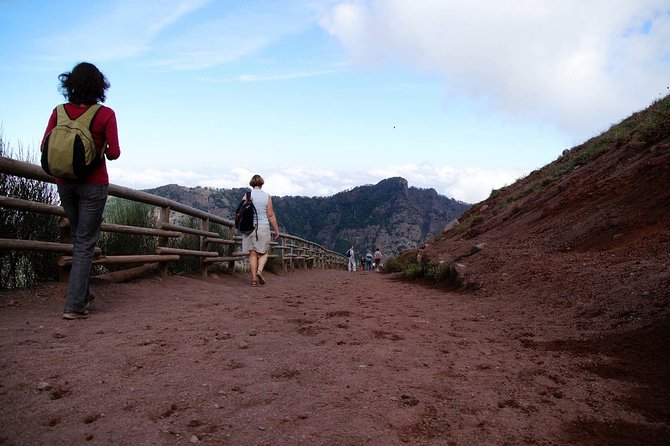 Mt Vesuvius and Pompeii Tour by Bus from Sorrento - Is This Tour Good Value for Your Day?
