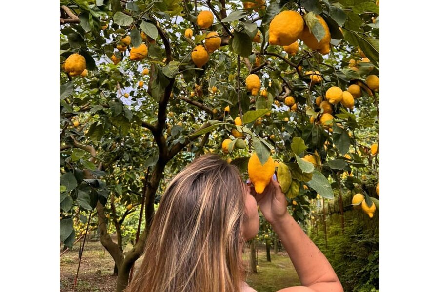 Nonno Mario Lemon Tour - Walking the ancient lemon grove with Osvaldo and learning cultivation the real way