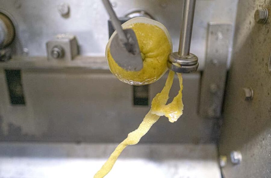Nonno Mario Lemon Tour - Inside the laboratory: peeling, squeezing, and tasting fresh lemon peel