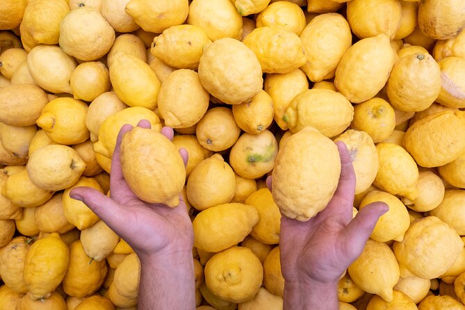 Nonno Mario Sorrento Lemon tour - Walking the Ancient Lemon Grove and the Galano Story Behind It