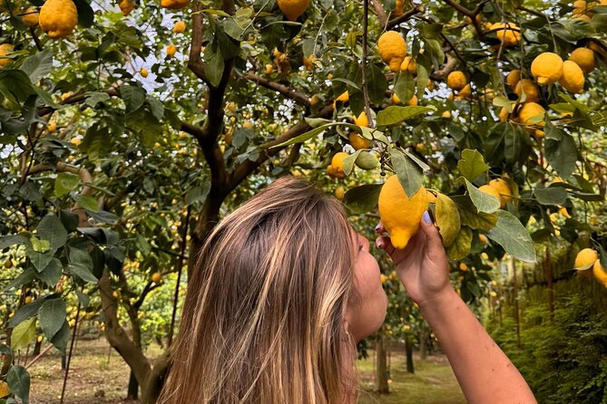 Nonno Mario Sorrento Lemon tour - Tips to Make It Feel Like a Sorrento Day, Not a Stop on a List
