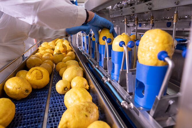 Nonno Mario Sorrento Lemon tour - Should You Book the Nonno Mario Sorrento Lemon Tour?