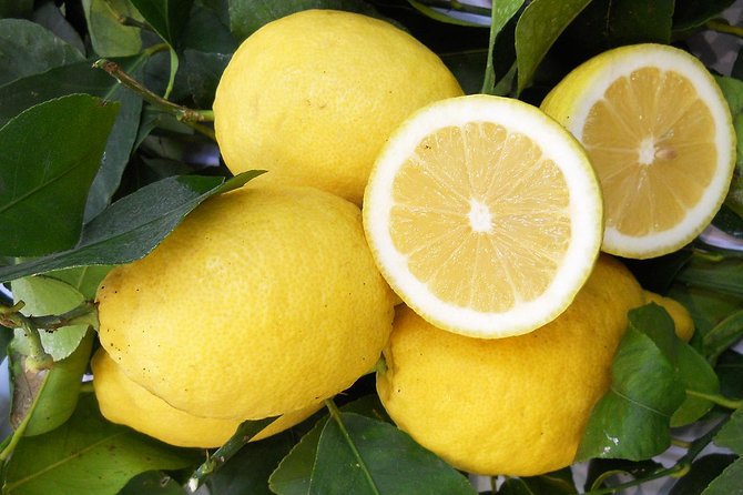 Oil & lemon walking tour- The Essence of Sorrento - Why Sorrento’s lemon and olive oil scene feels extra at 5:00 pm