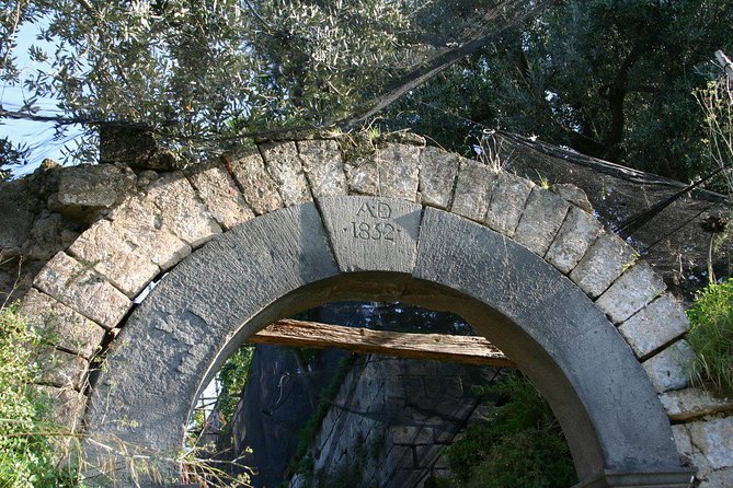 Oil & lemon walking tour- The Essence of Sorrento - Wine and limoncello factory tastings: aroma cues you can repeat later