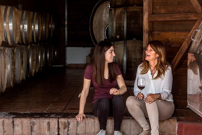 Organic Wine Tasting & Lunch on Vesuvius with Transfer from Sorrento Peninsula - Price and value: what $372.32 gets you, and when it feels worth it