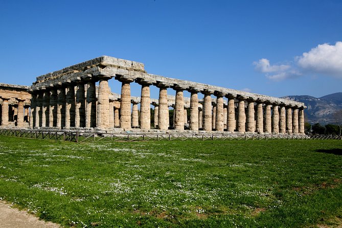 Paestum, Buffalo Mozzarella tasting and light lunch private tour - Value for Money: Why $509.35 Can Actually Make Sense