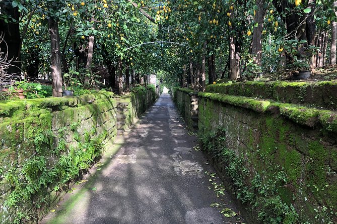 Piano di Sorrento Walking Tour with a Local - Via Ponte di Mortora: the oldest path through a tufa valley