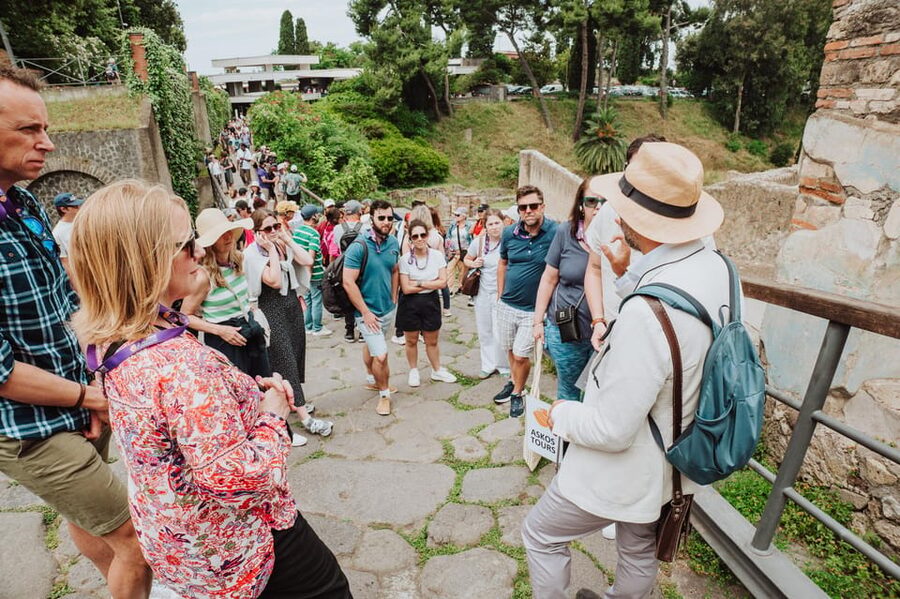 Pompeii and Herculaneum small group excursion from Sorrento - Small-group comfort: minivan size, headsets, and pacing