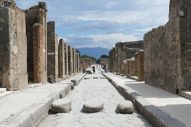 Pompeii and Herculaneum with Wine Tour - Pompeii and Herculaneum feel like two different worlds