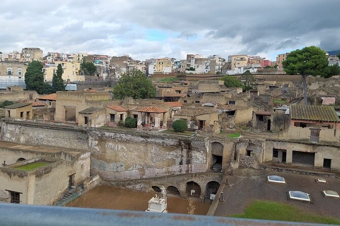Pompeii and Herculaneum with Wine Tour - Entering Pompeii Archaeological Park: what 4 hours can cover