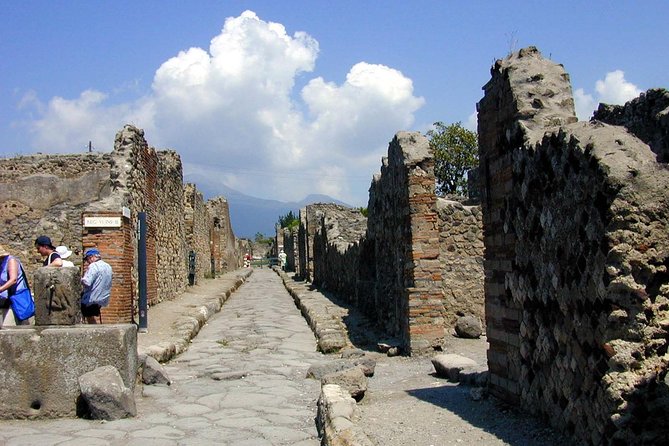 Pompeii and Mount Vesuvius SELECT tour - Vesuvius National Park summit: views without the climb