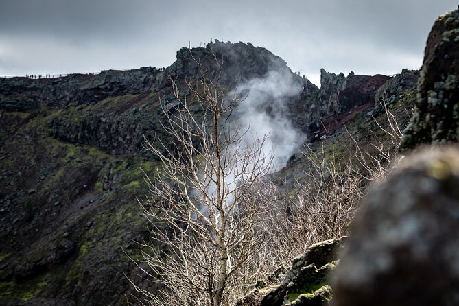 Pompeii and Vesuvius Small Group Tour from Sorrento with Pizza - Key Things I’d Pay Attention To