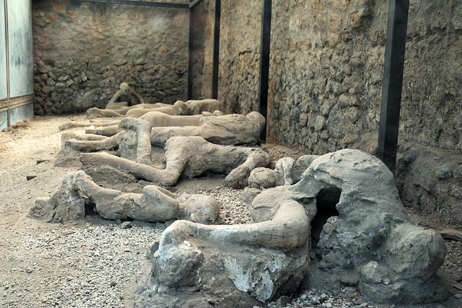 Pompeii Guided Walking Tour with Ticket - Granai del Foro: The Market, Then 9,000 Artefacts in One Place