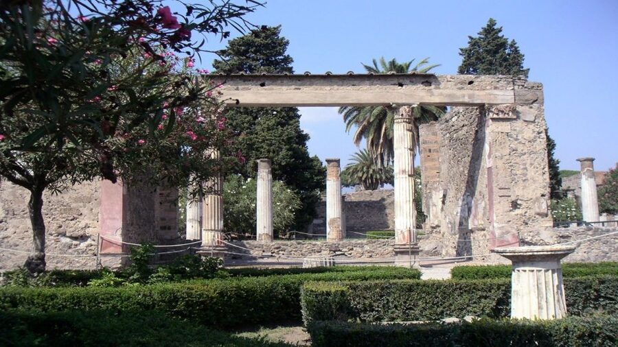 Pompeii Half-Day Coach Tour from Sorrento - Meeting at 08:10 and the Reality of a Busy Pickup Area